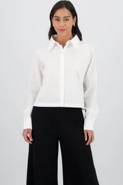 Camisa lisa