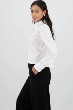 Camisa lisa