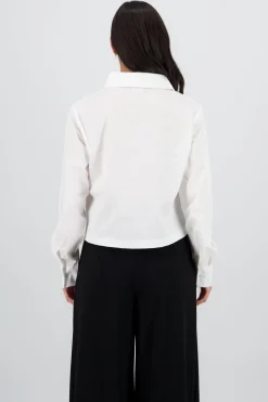 Camisa lisa
