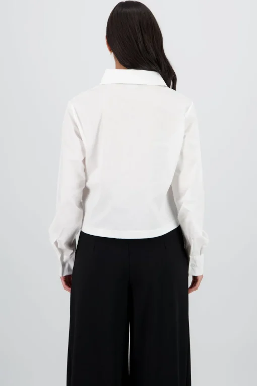 Camisa lisa