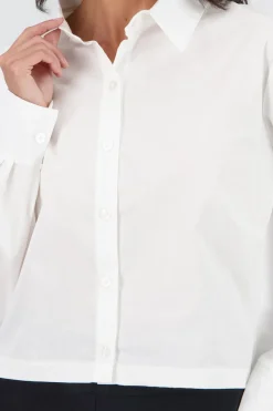 Camisa lisa