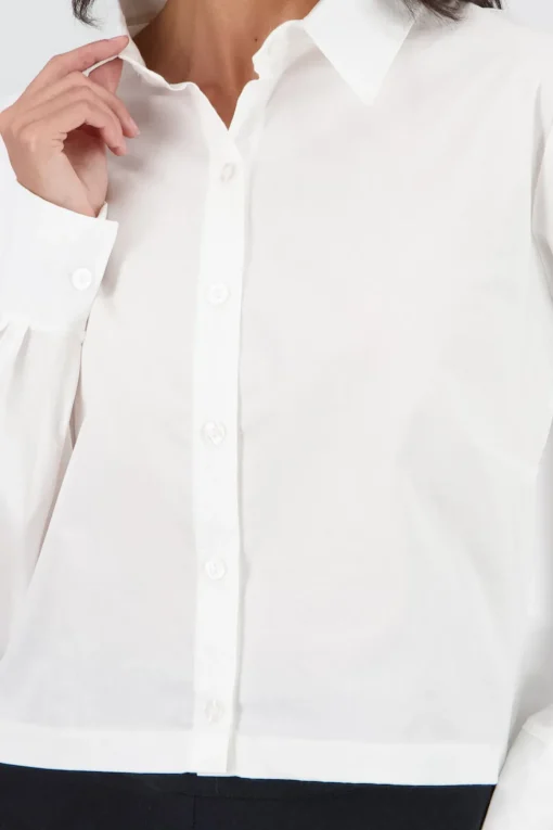 Camisa lisa