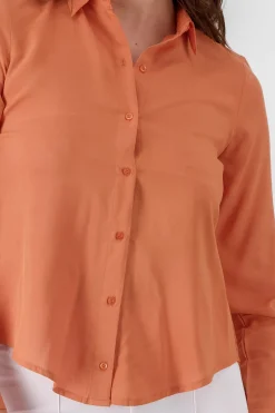 Camisa Manga Larga Lisa