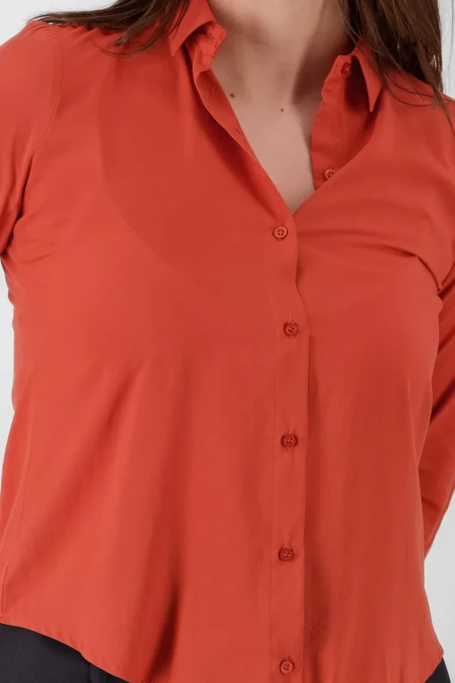 Camisa Manga Larga Lisa