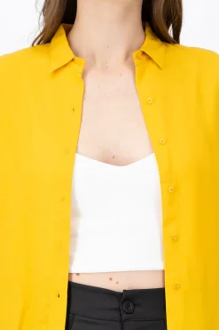 Camisa Manga Larga Lisa