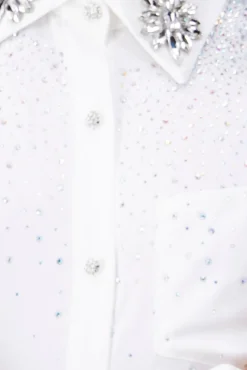 Camisa Manga Larga Pedrería