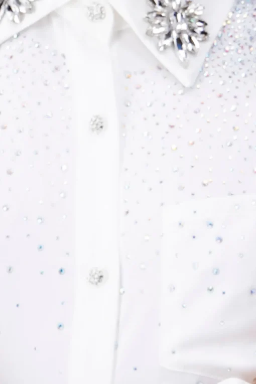 Camisa Manga Larga Pedrería