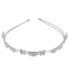 Diadema doble mariposas