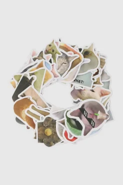 Set 50 stickers gatos divertidos