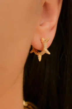 Arracadas picos brillos