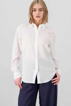 Camisa básica algodon