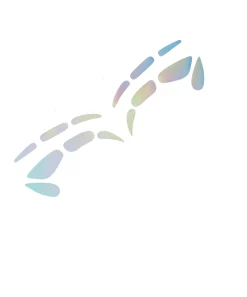 Estampa ojos delineador iridiscente