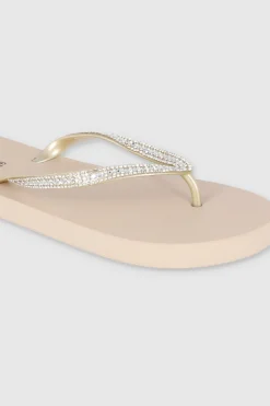 Flip Flop Cintas Brillos