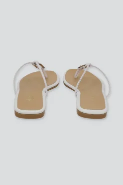 Sandalia pata de gallo eplicación ovalo