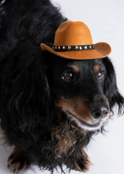 Sombrero vaquero mascota chico